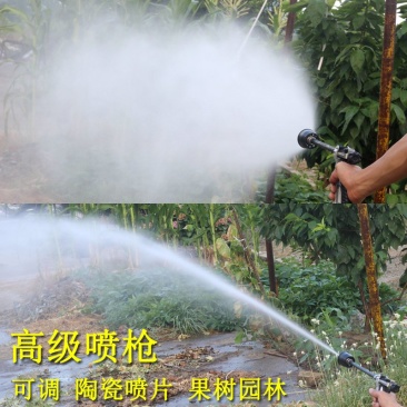 喷枪农用高压喷枪按压式手枪喷雾机器打药果树水稻冲洗车水枪