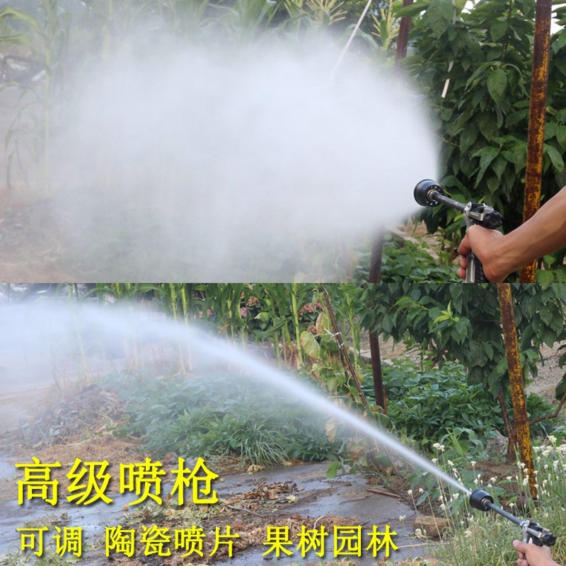 喷枪农用高压喷枪按压式手枪喷雾机器打药果树水稻冲洗车水枪