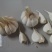 四六瓣鲜蒜各种规格，质量好，成熟度好，腌制