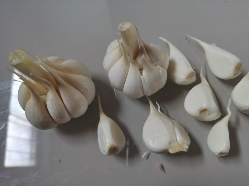 四六瓣鲜蒜各种规格，质量好，成熟度好，腌制