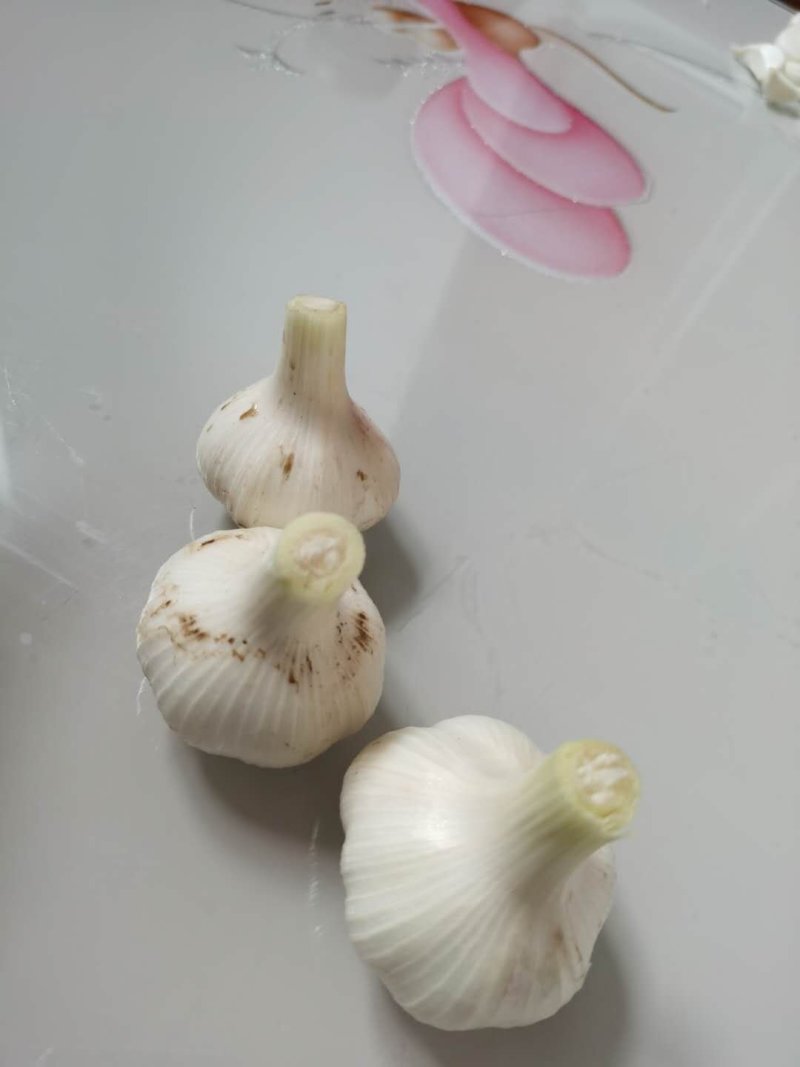 四六瓣鲜蒜各种规格，质量好，成熟度好，腌制