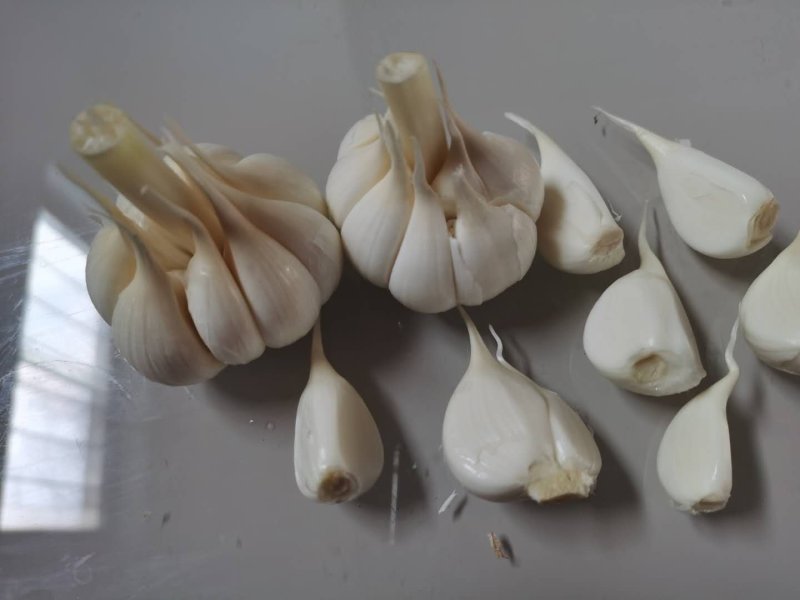 四六瓣鲜蒜各种规格，质量好，成熟度好，腌制