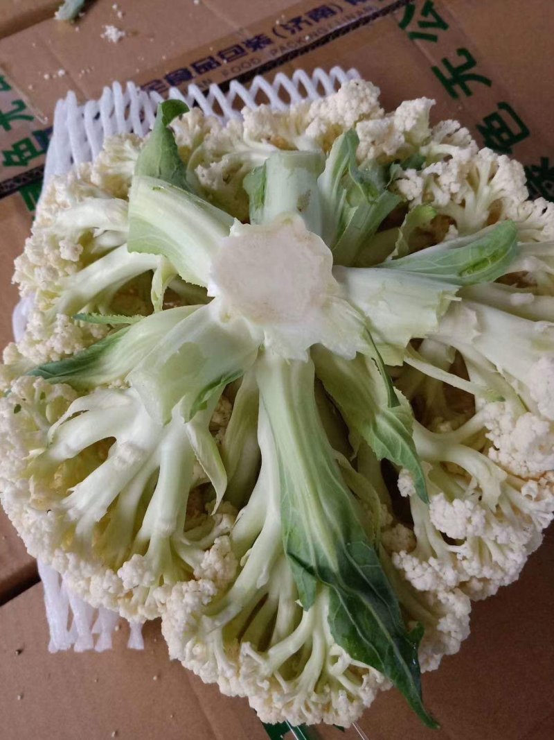 菜花，有机松花菜青梗散花