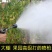 喷枪农用高压喷枪按压式手枪喷雾机器打药果树水稻冲洗车水枪