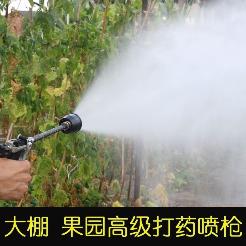 喷枪农用高压喷枪按压式手枪喷雾机器打药果树水稻冲洗车水枪