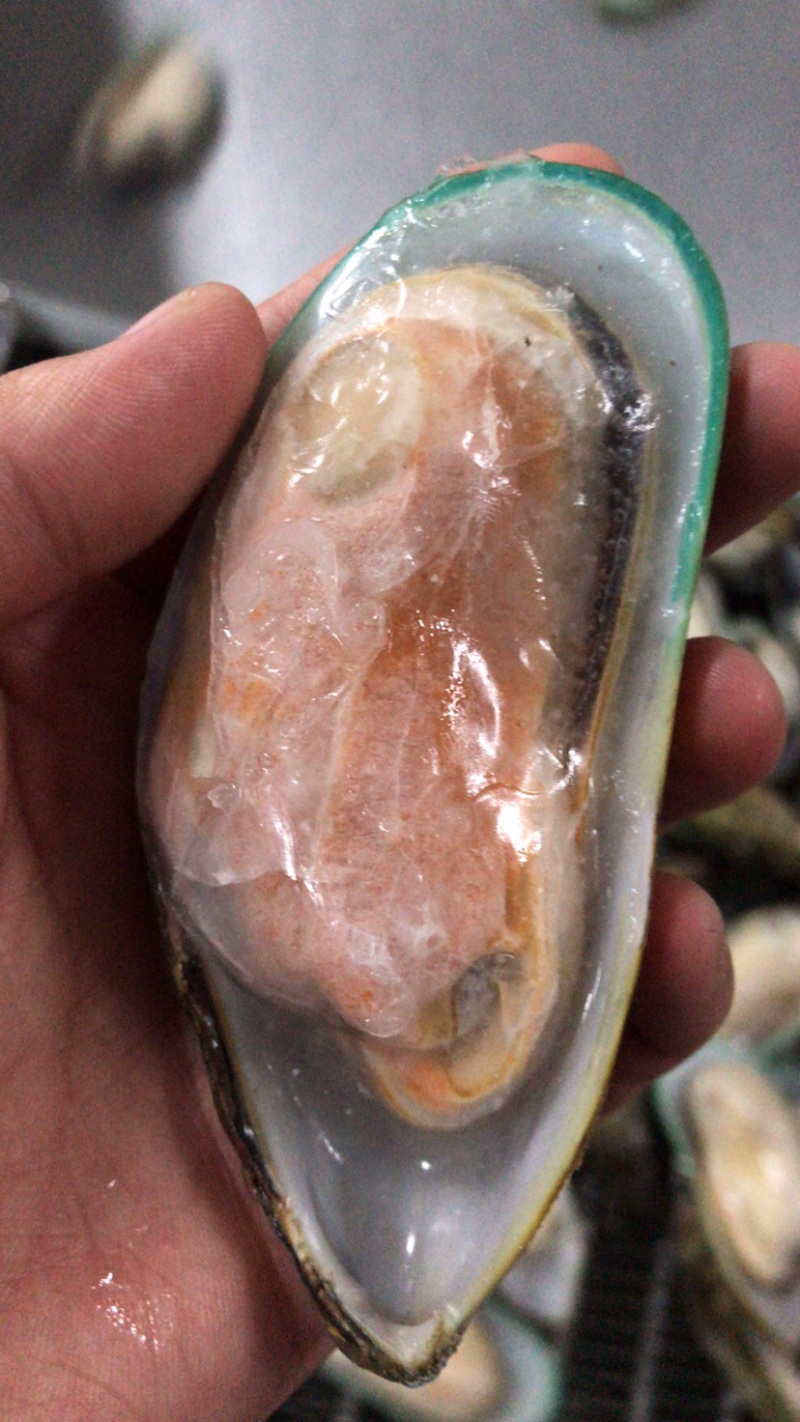新西兰半壳青口贝原汁