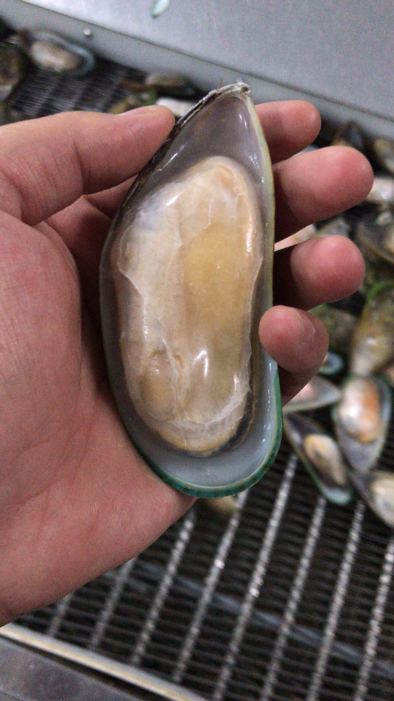 新西兰半壳青口贝原汁