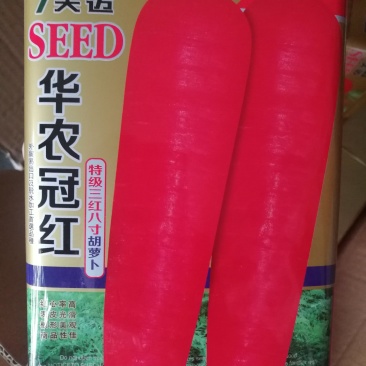【热卖】胡萝卜种子厂家直销去掉中间商挣差价60一罐包