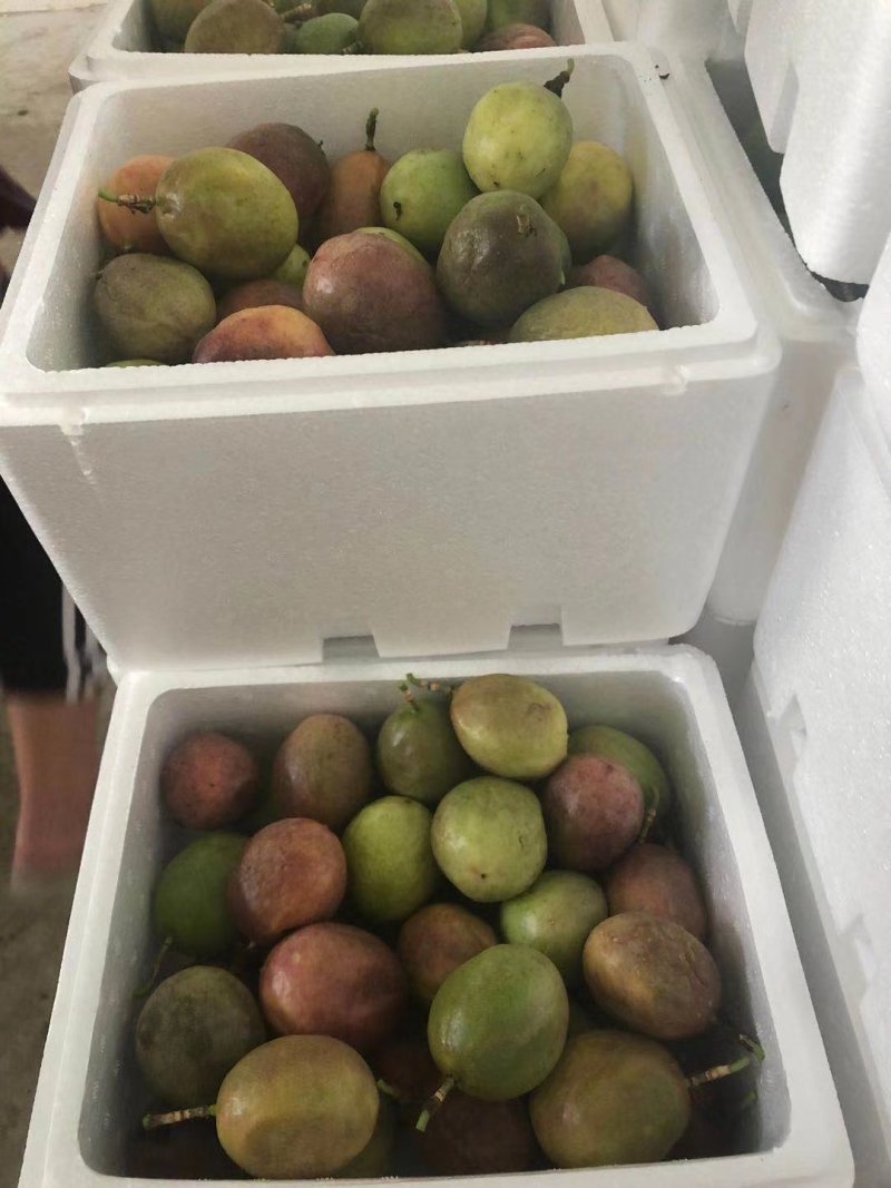 新鲜现货百香果