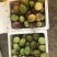 新鲜现货百香果