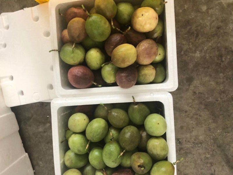 新鲜现货百香果
