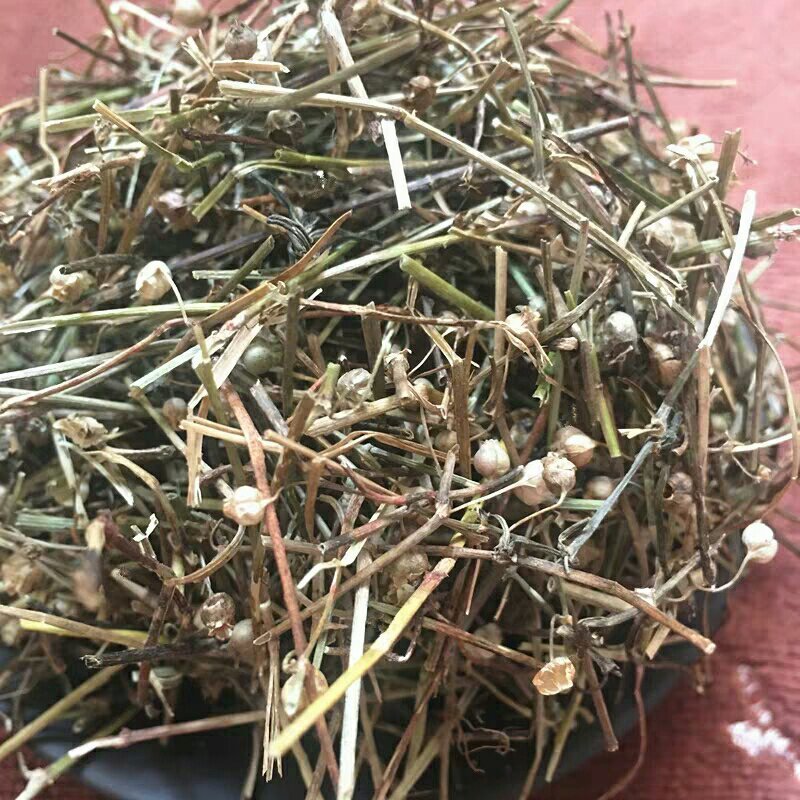 蛇舌草蛇舌癀蛇针草蛇总管二叶葎白花十字草白花蛇舌草