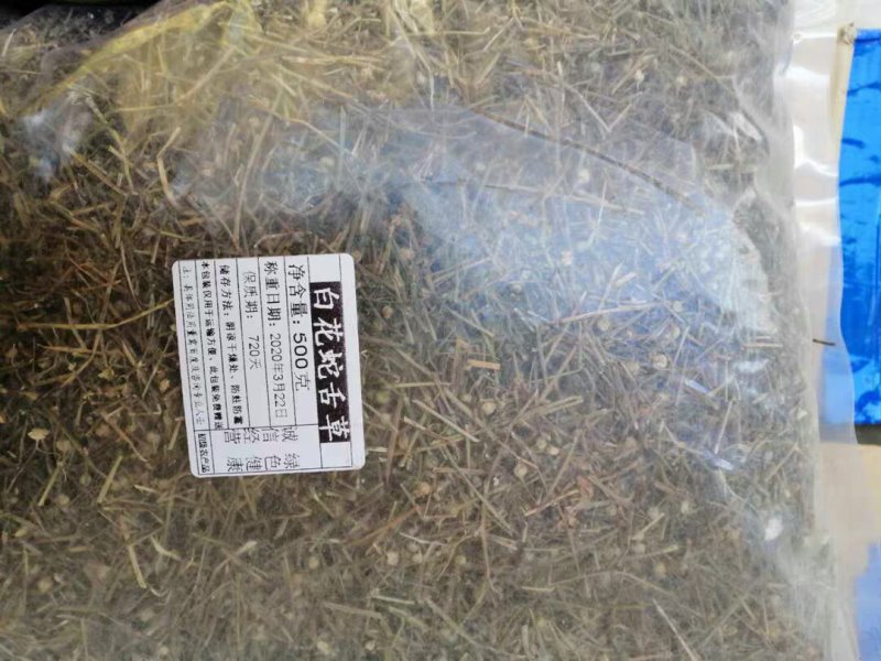蛇舌草蛇舌癀蛇针草蛇总管二叶葎白花十字草白花蛇舌草