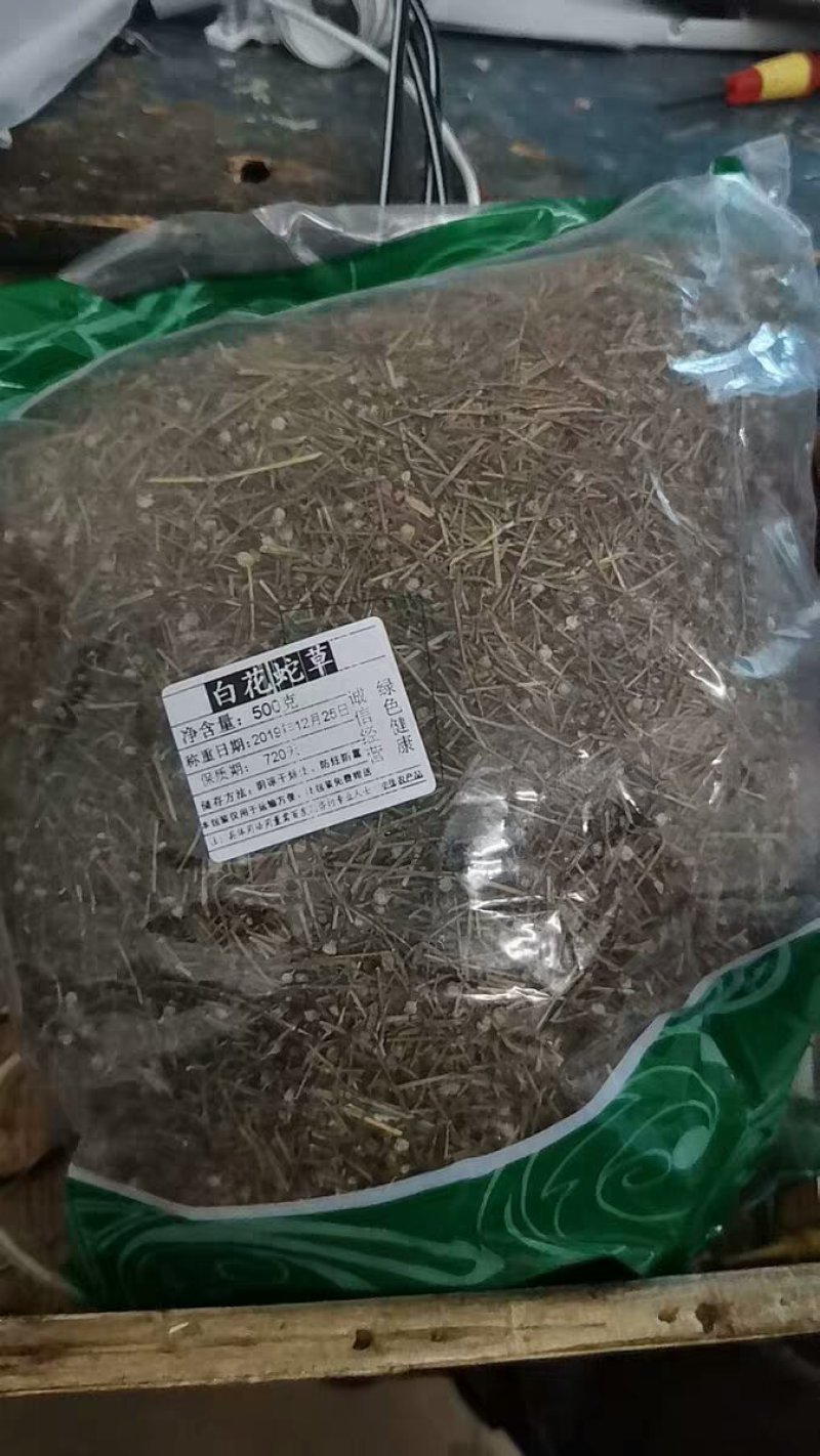 蛇舌草蛇舌癀蛇针草蛇总管二叶葎白花十字草白花蛇舌草