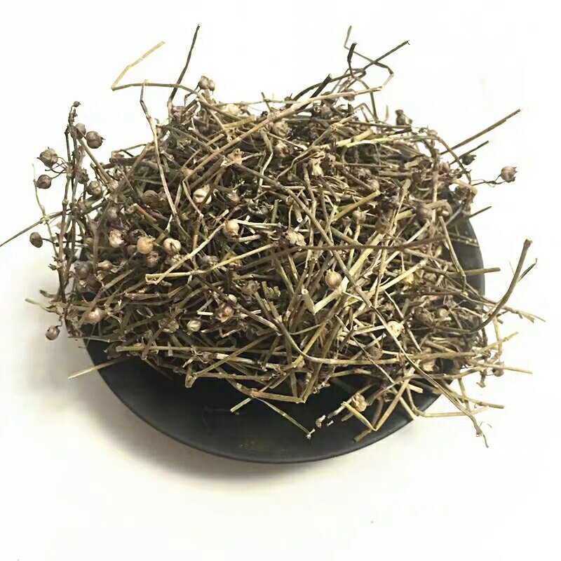 蛇舌草蛇舌癀蛇针草蛇总管二叶葎白花十字草白花蛇舌草