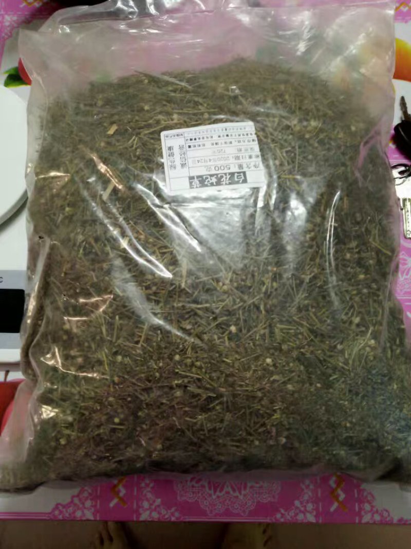 蛇舌草蛇舌癀蛇针草蛇总管二叶葎白花十字草白花蛇舌草