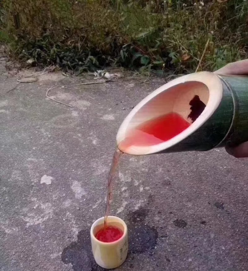 客家鲜竹酒杨梅竹筒酒杨梅竹子酒45度竹筒酒