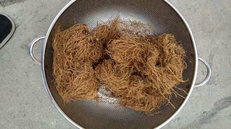 细辛中药材辽细辛中药细辛