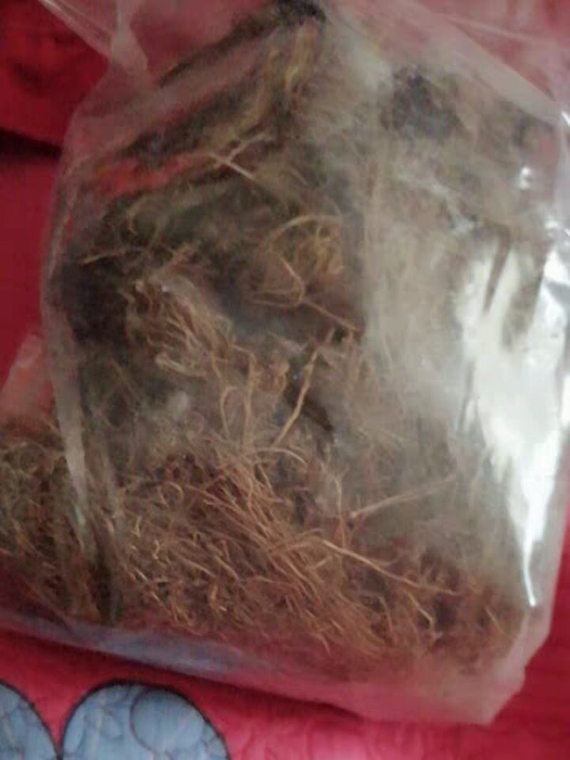 细辛中药材辽细辛中药细辛