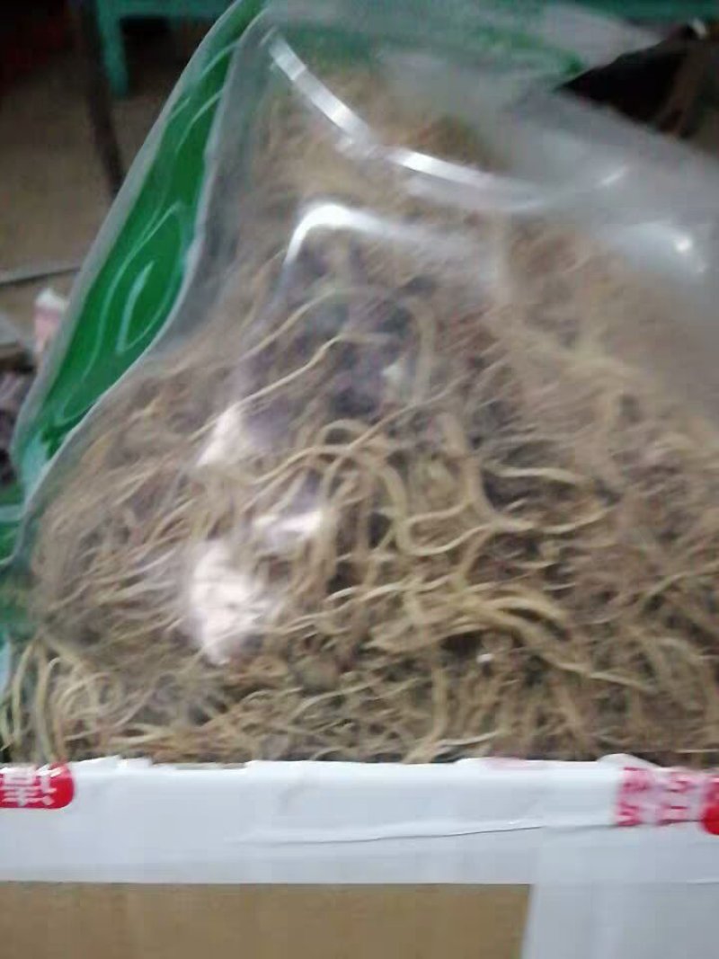 细辛中药材辽细辛中药细辛