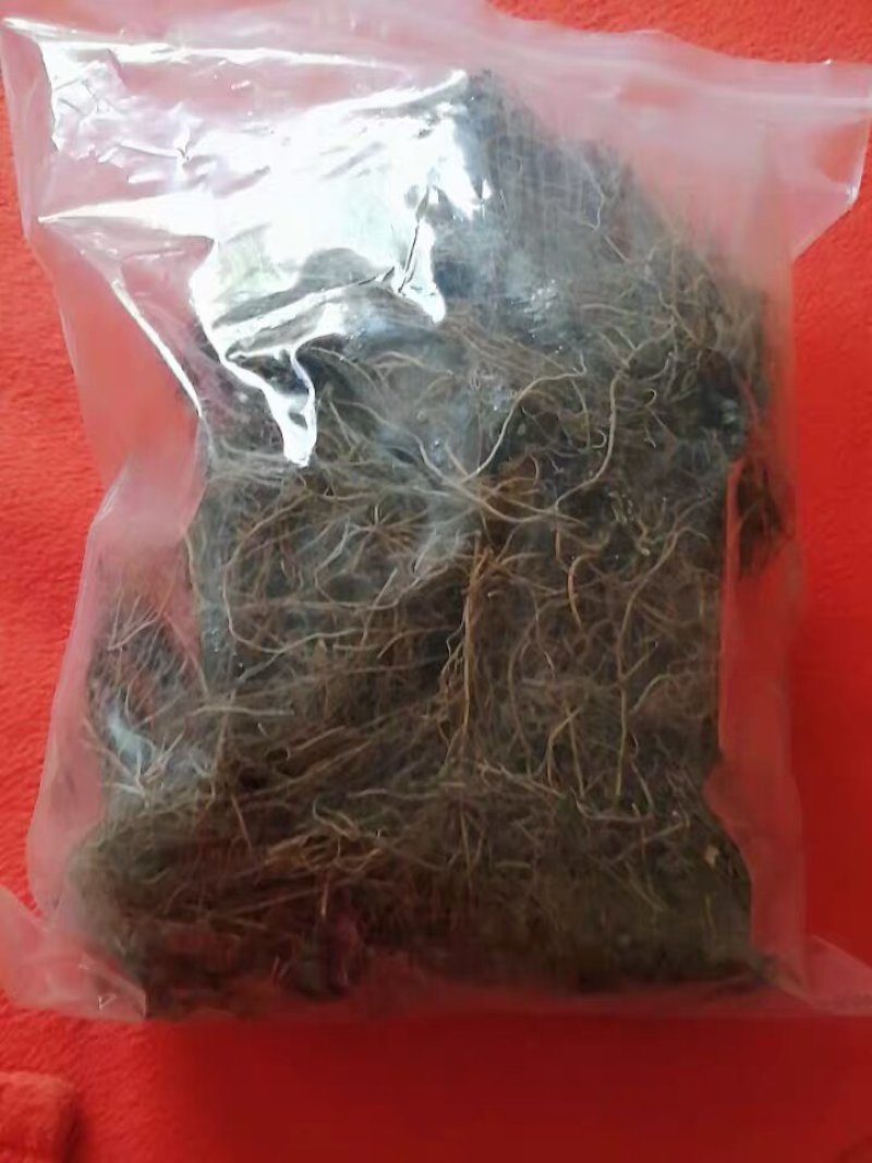 细辛中药材辽细辛中药细辛