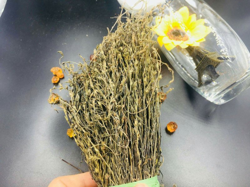 独脚金独脚柑独脚疳孩儿草1111