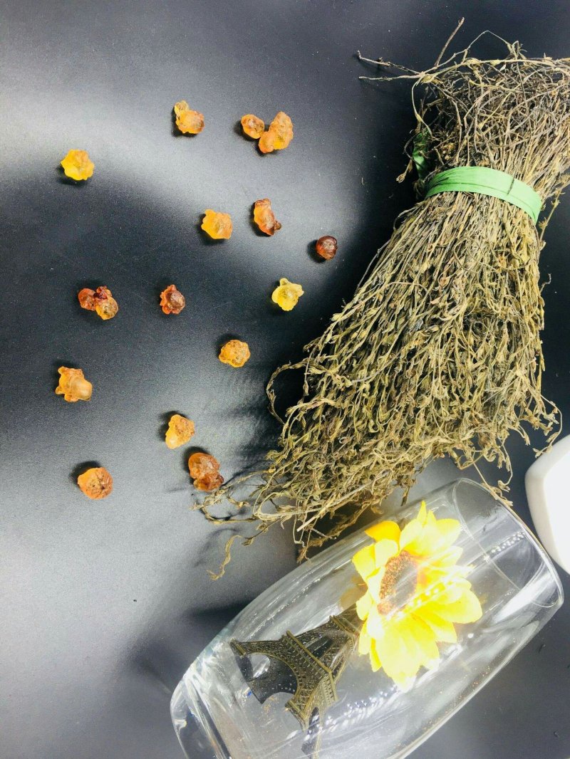 独脚金独脚柑独脚疳孩儿草1111