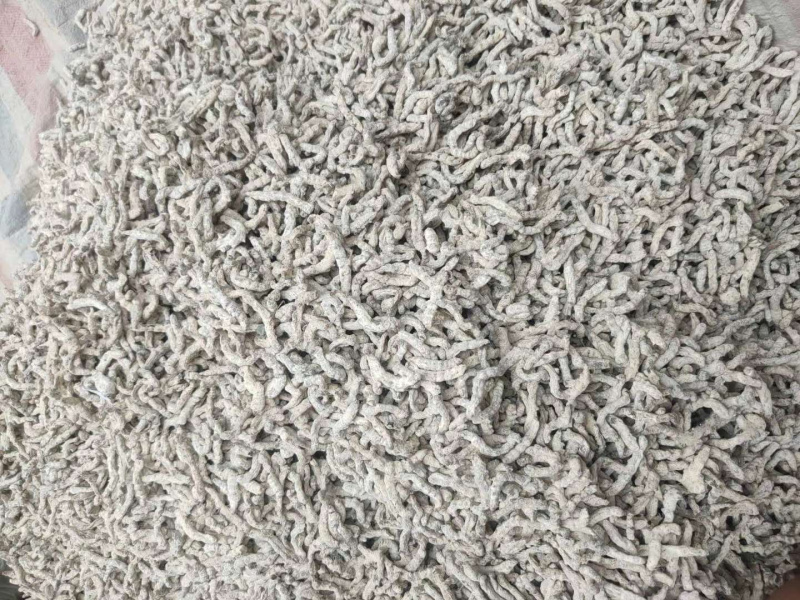 长期供应｛僵蚕｝可批量可零售量大从优【包邮】