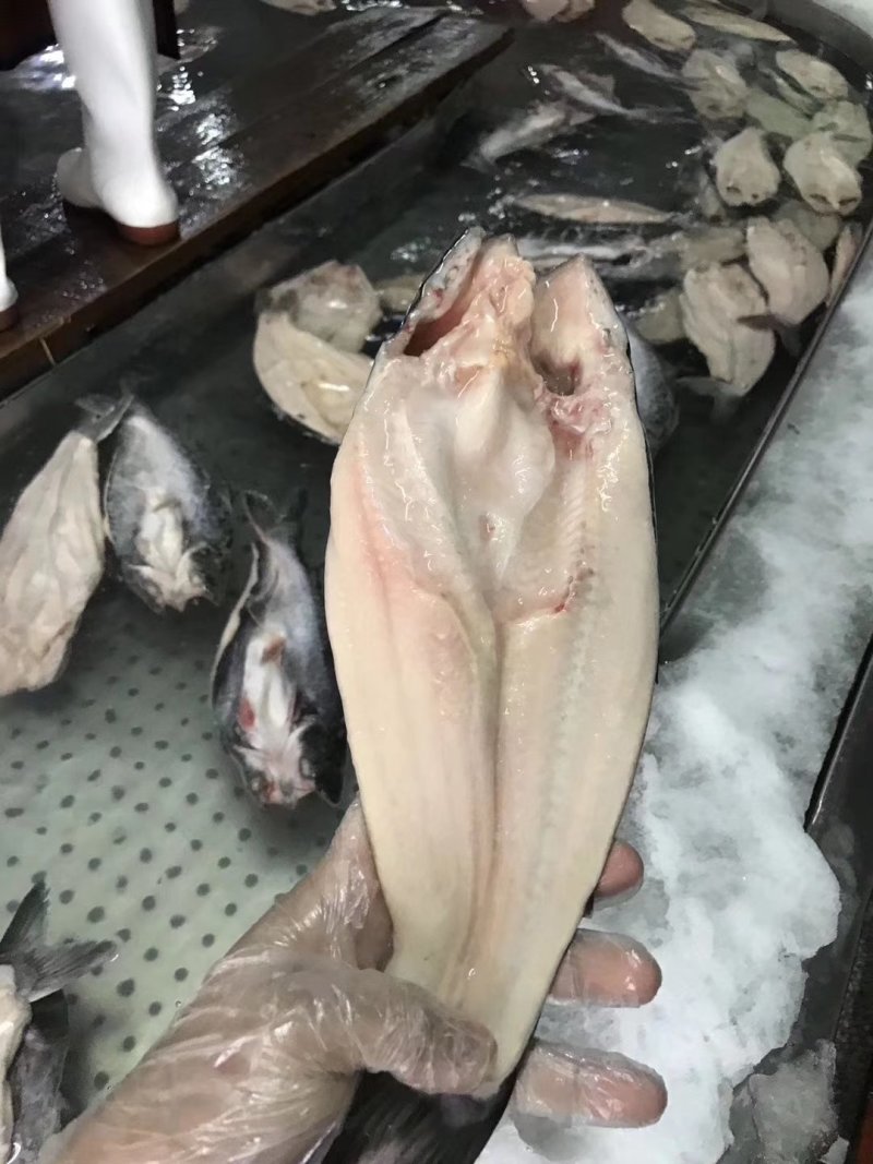 巴沙鱼.国产自养殖自加工，越南厂家一手货源