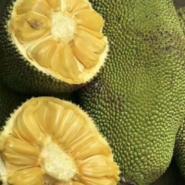 菠萝蜜