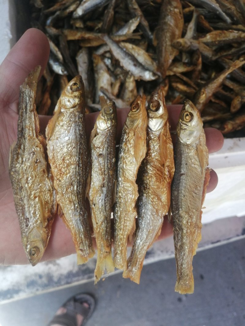 鱼干