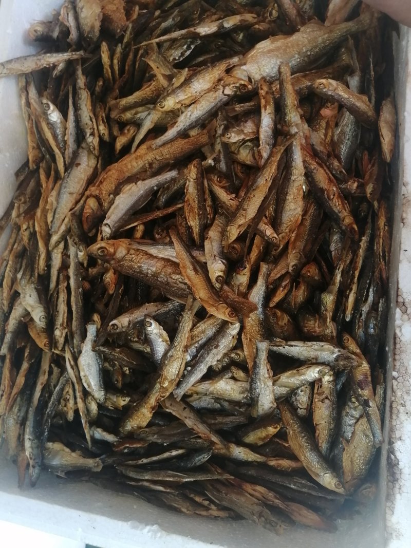 鱼干