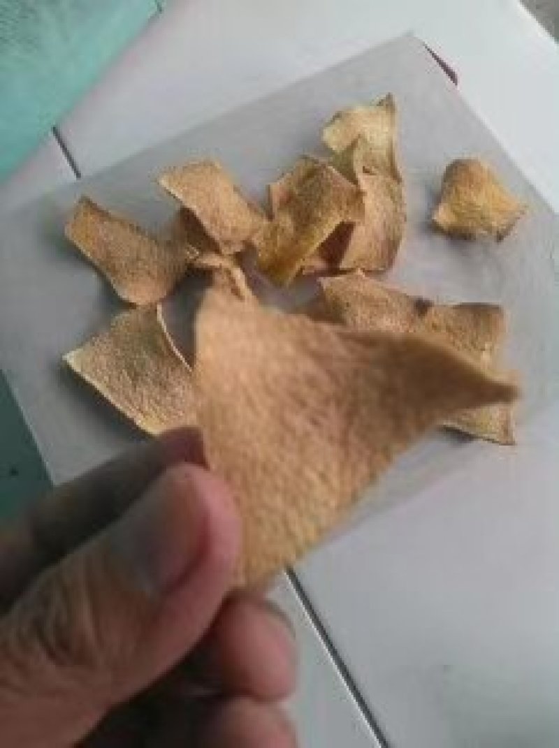 珠牙魔芋