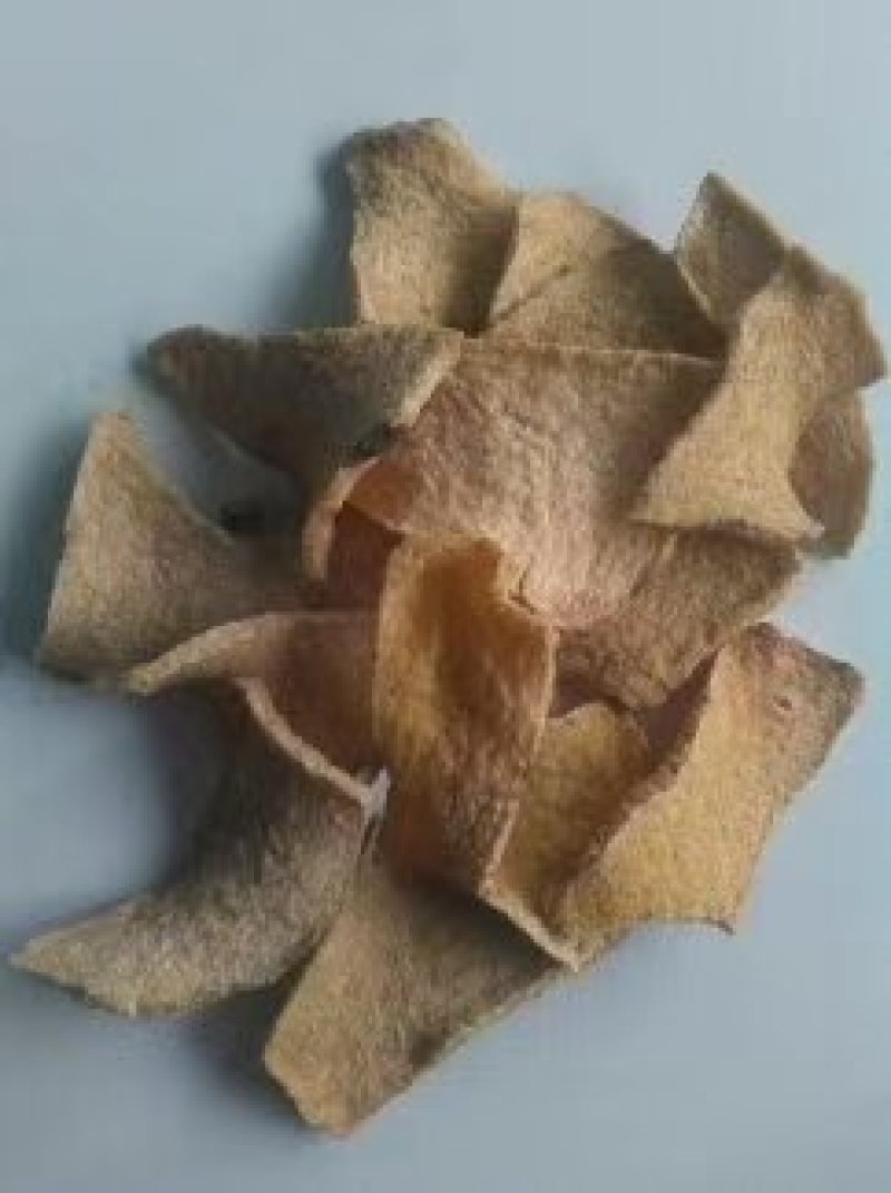珠牙魔芋