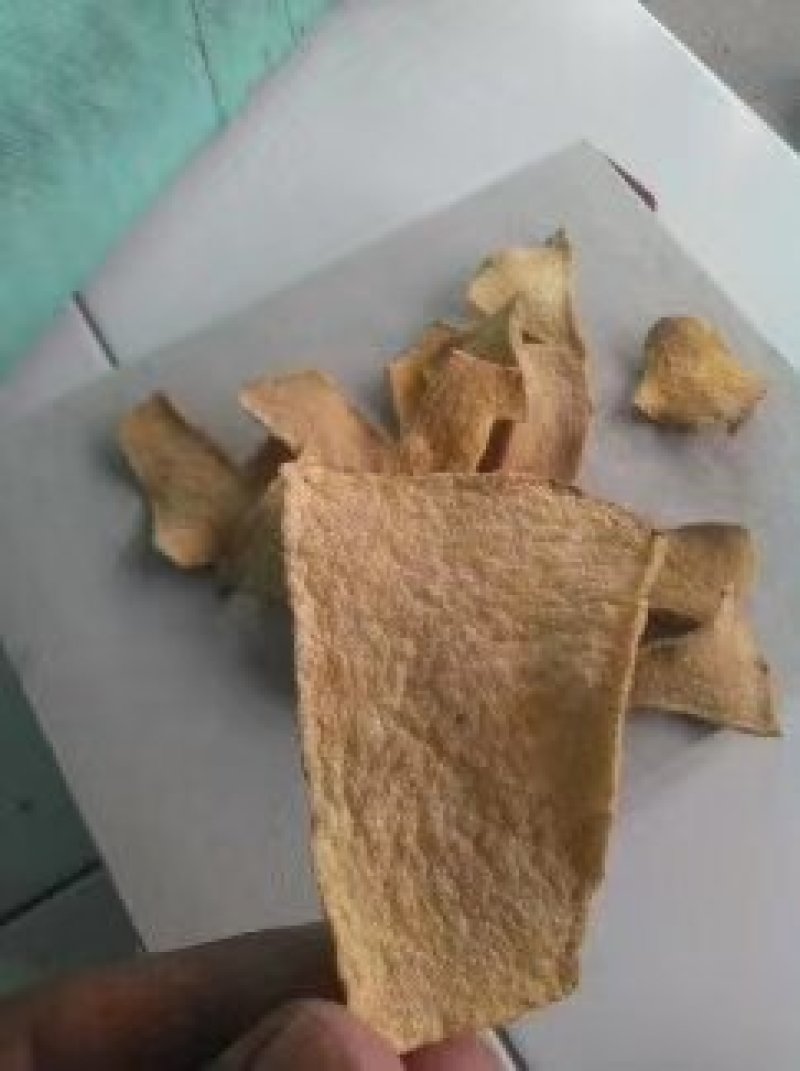 珠牙魔芋