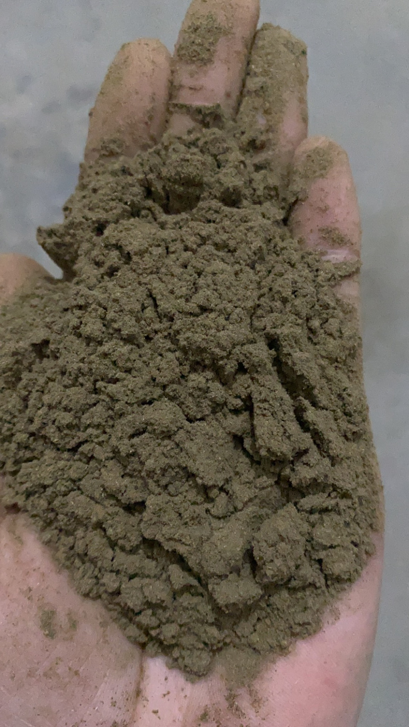艾叶粉厂家直供优质长年有货质量保证