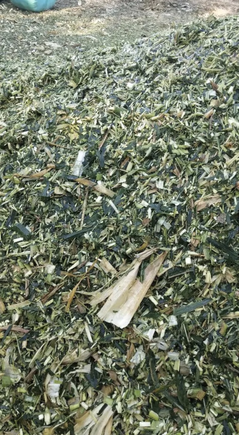 青储