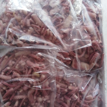 大量现货干冰鱿鱼短须
