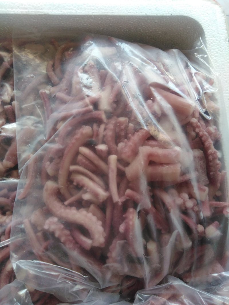大量现货干冰鱿鱼短须