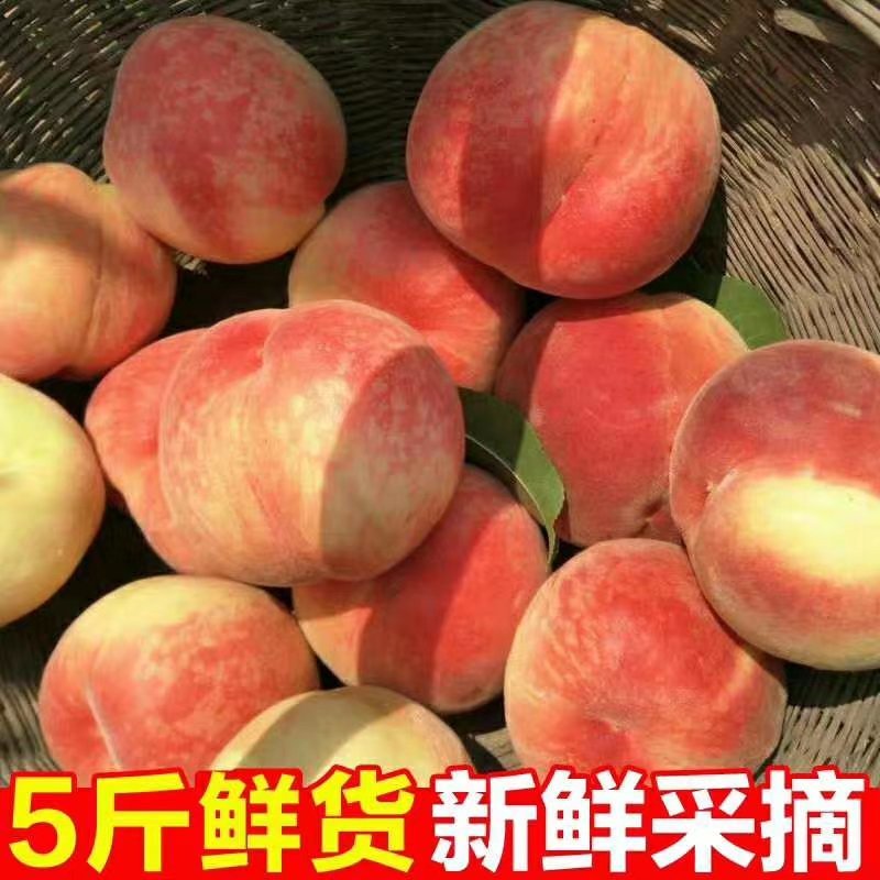 水蜜桃顺丰包邮到家