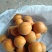 金太阳，杏。