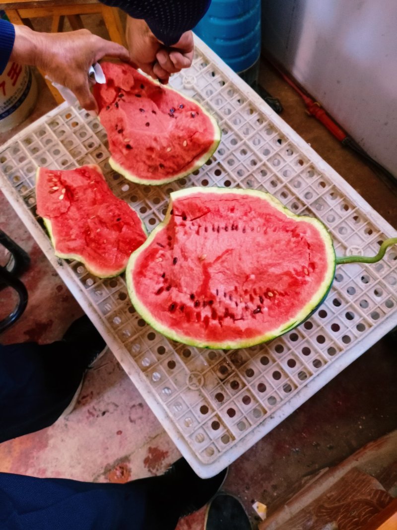 西瓜
