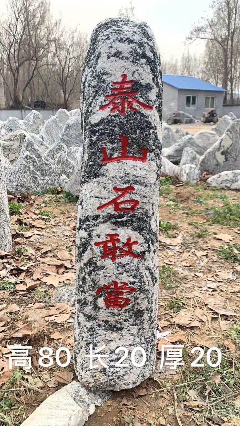 泰山景松配泰山石，造型松，迎客松，大小齐全，包安装。