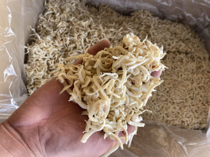 渤海丁香鱼凤尾鱼干，可实地考察泥鳅鱼干