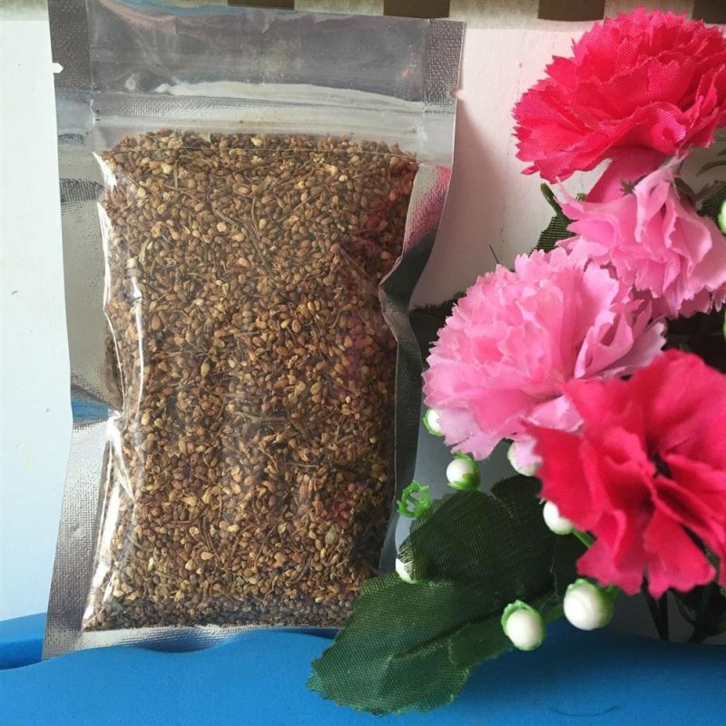 暴马子花，野生白丁香花地直供道地药材，药典标准支持线上