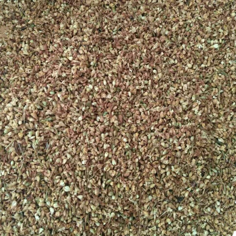 暴马子花，野生白丁香花地直供道地药材，药典标准支持线上