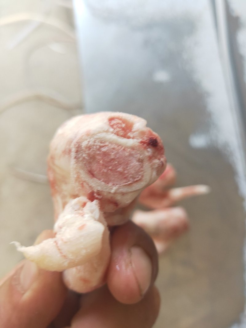 羊拐骨羔羊拐筋满劲满骨髓饭店优选量大价优