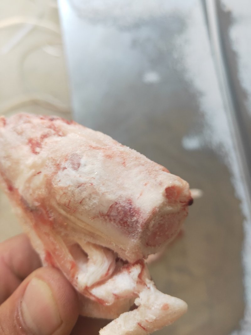 羊拐骨羔羊拐筋满劲满骨髓饭店优选量大价优