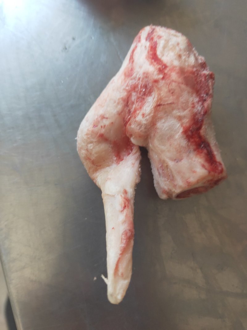 羊拐骨羔羊拐筋满劲满骨髓饭店优选量大价优