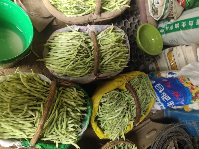 豆角